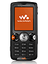 W810